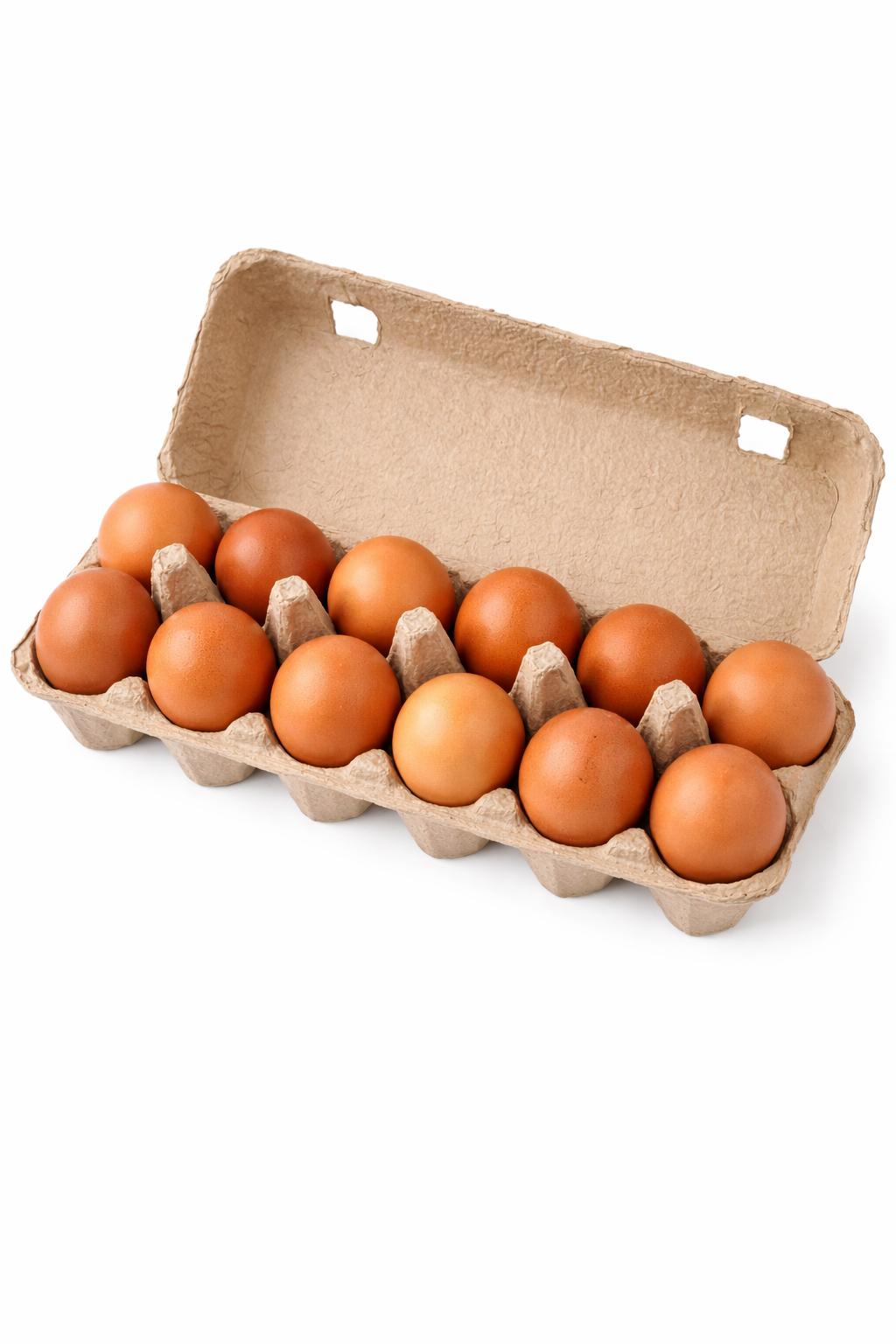 Golden Eggs XL 1 Dozen | Free-Range | The Tallow Kuwait